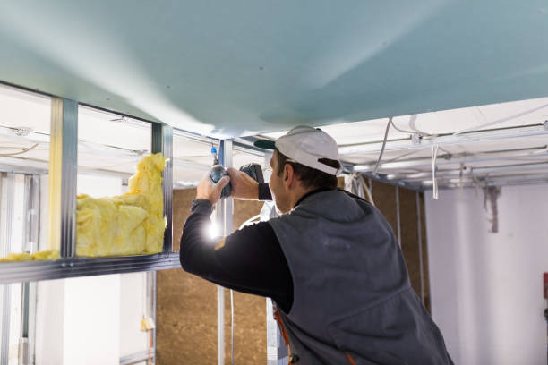 Best DIY Insulation Kits and Guidance in Wheeler, TX