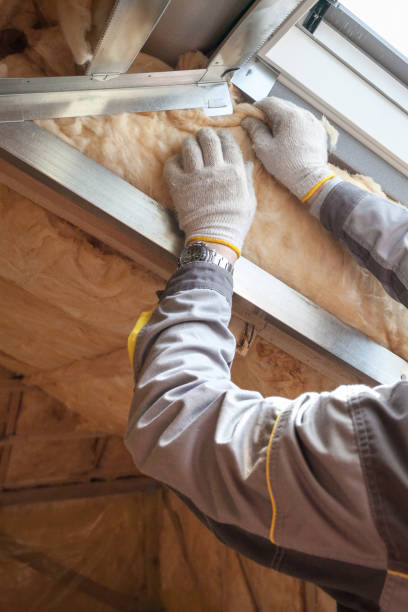 Best Cellulose Insulation in Wheeler, TX