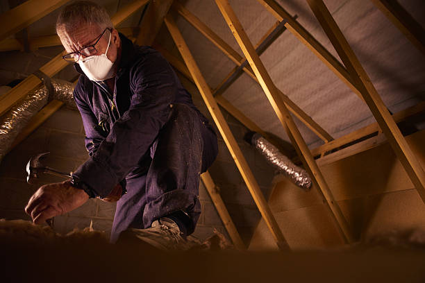 Types of Insulation We Offer in Wheeler, TX